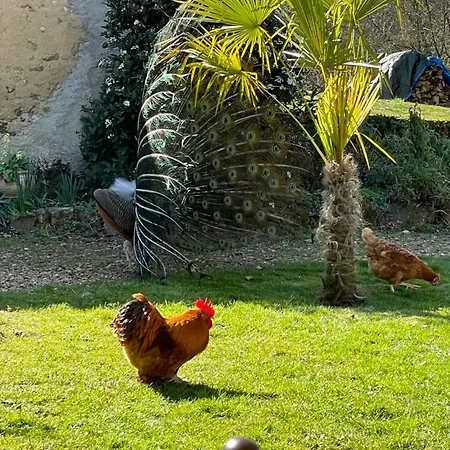 Maison d'hôtes Le Tertre