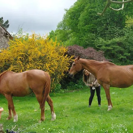 Le Tertre Affittacamere 3*