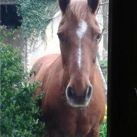 Le Tertre 3*