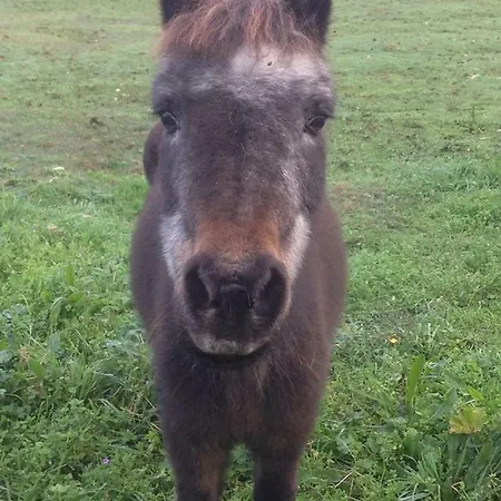 Maison d'hôtes Le Tertre 3*