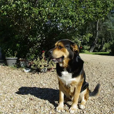 Le Tertre Maison d'hôtes 3*