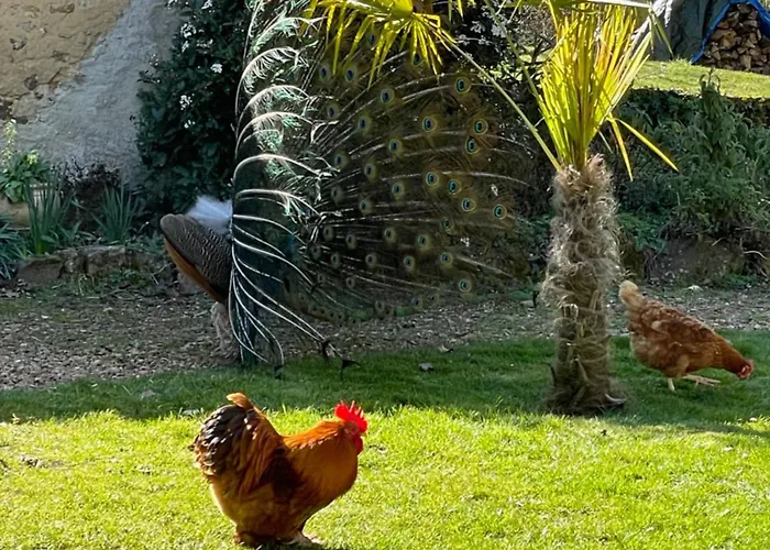Maison d'hôtes Le Tertre