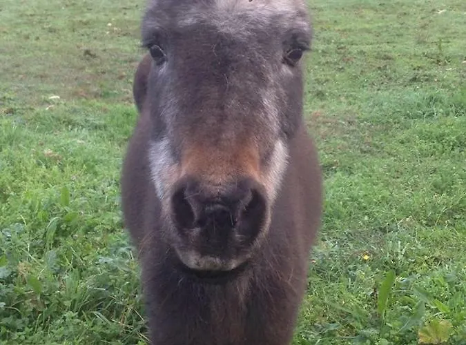 Maison d'hôtes Le Tertre 3*