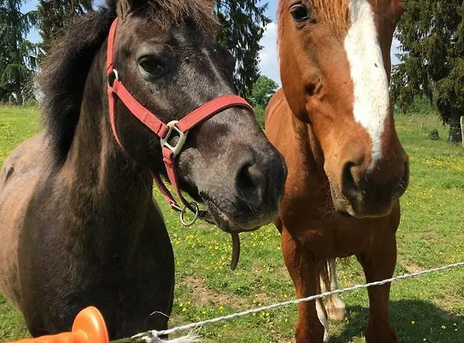 Maison d'hôtes Le Tertre 3*
