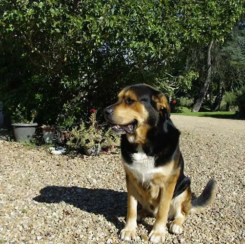 Le Tertre Maison d'hôtes 3*